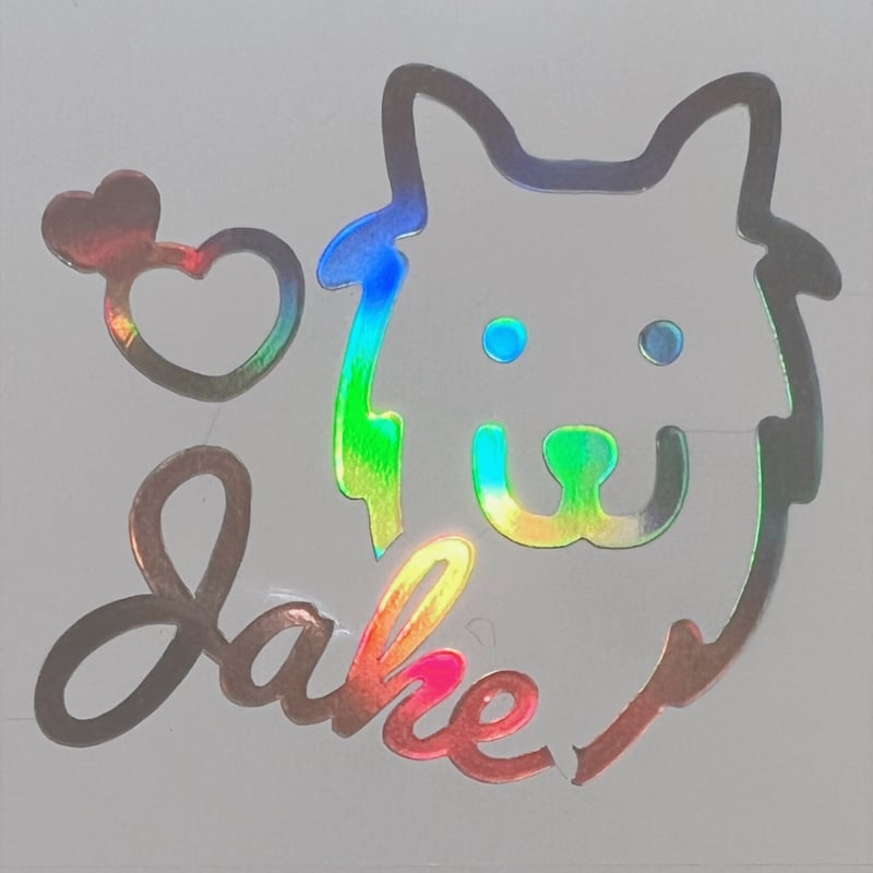 ホログラムステッカー／ENHYPEN ジェイク（送料無料）6.レイラ | gayon