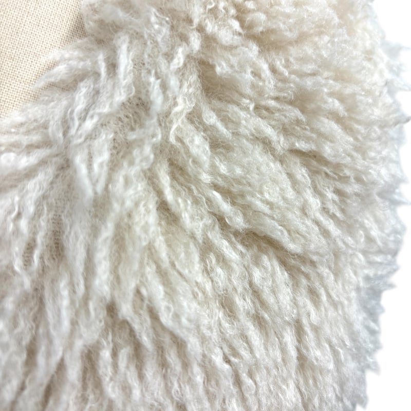 ayane プードルファーベスト サイズ38 ayane】プードルファーベスト | Radiant MUSE 本店