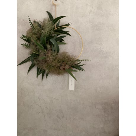 スモークツリーリース | STORES