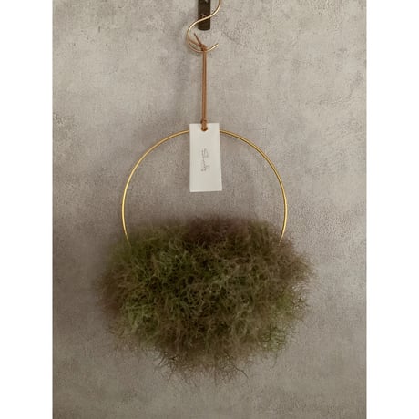 スモークツリーリース | STORES