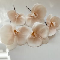hair accessory -胡蝶蘭 nuance pink-