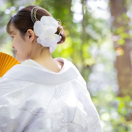 hair accessory -胡蝶蘭 white-