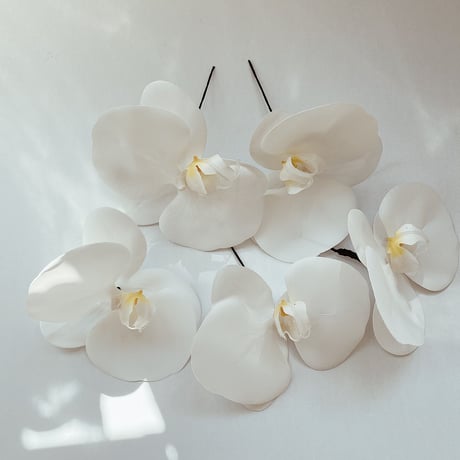 hair accessory -胡蝶蘭 white-