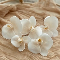 hair accessory -胡蝶蘭 peach beige-