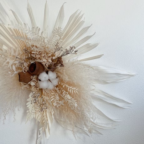 パンパス | STORES