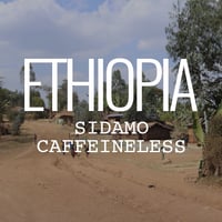 エチオピア・シダモ G2・ウォッシュド・カフェインレス　100g