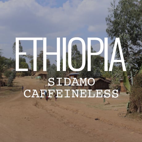 【デカフェ】エチオピア・シダモ G2・ウォッシュド・カフェインレス　100g