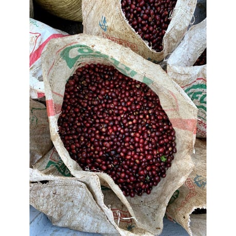 インド・パールマウンテン農園・ブロッサムナチュラル 100g（豆もしくは粉）