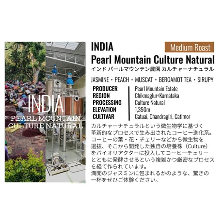 インド・パールマウンテン農園・カルチャーナチュラル 100g（豆もしくは粉）