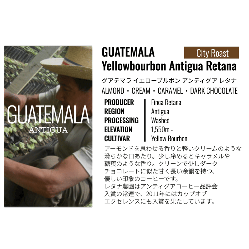 グアテマラ・イエローブルボン・アンティグア・フィンカ レタナ