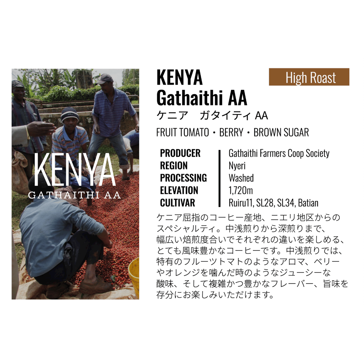ケニア・ガタイティ AA（ハイロースト） 100g | Cruise Town Coffee