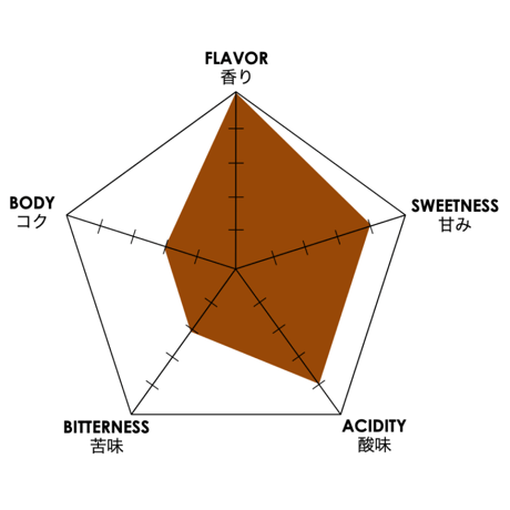 AFTER SURF BLEND 100g（豆もしくは粉）