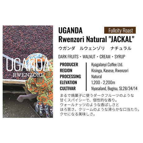 ウガンダ・ルウェンゾリ ・ナチュラル・アフリカンムーン  "JACKAL" 100g