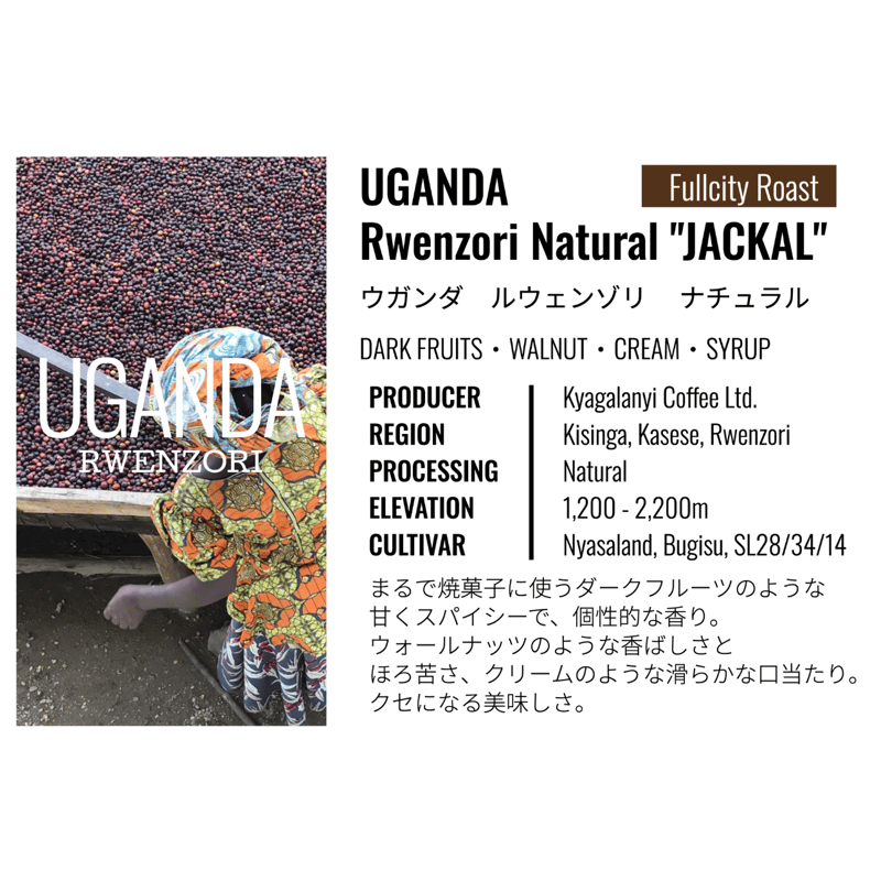 ウガンダ・ルウェンゾリ ・ナチュラル・アフリカンムーン 