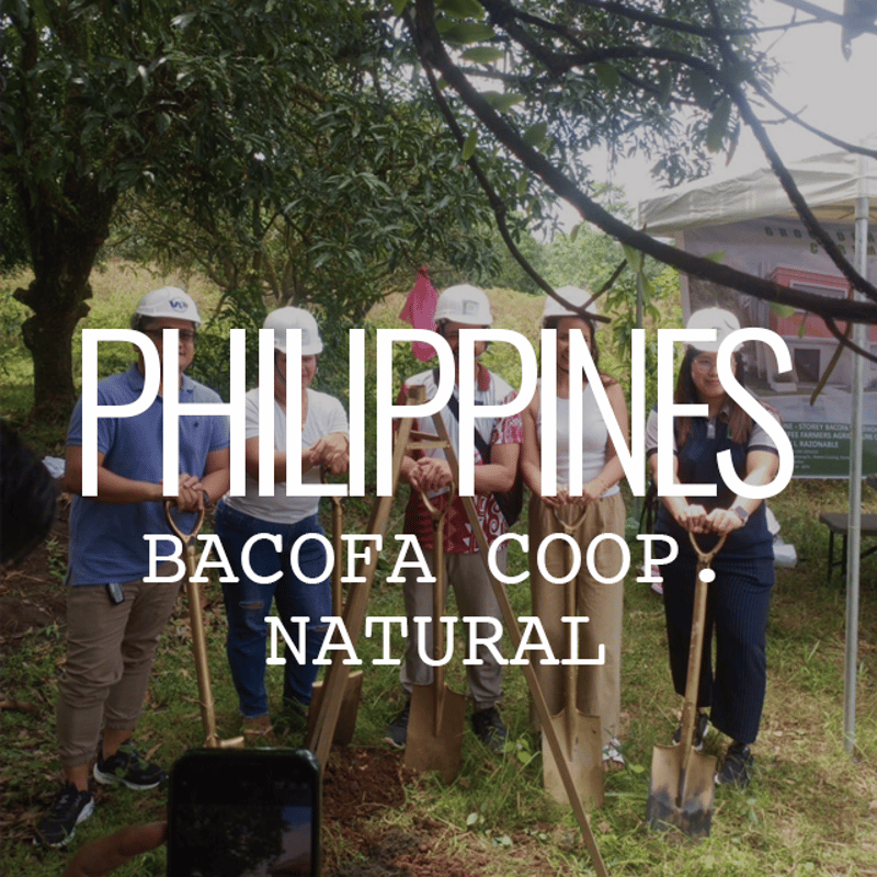 フィリピン・BACOFA農協・マウントアポ・ナチュラル 100g | Cruise