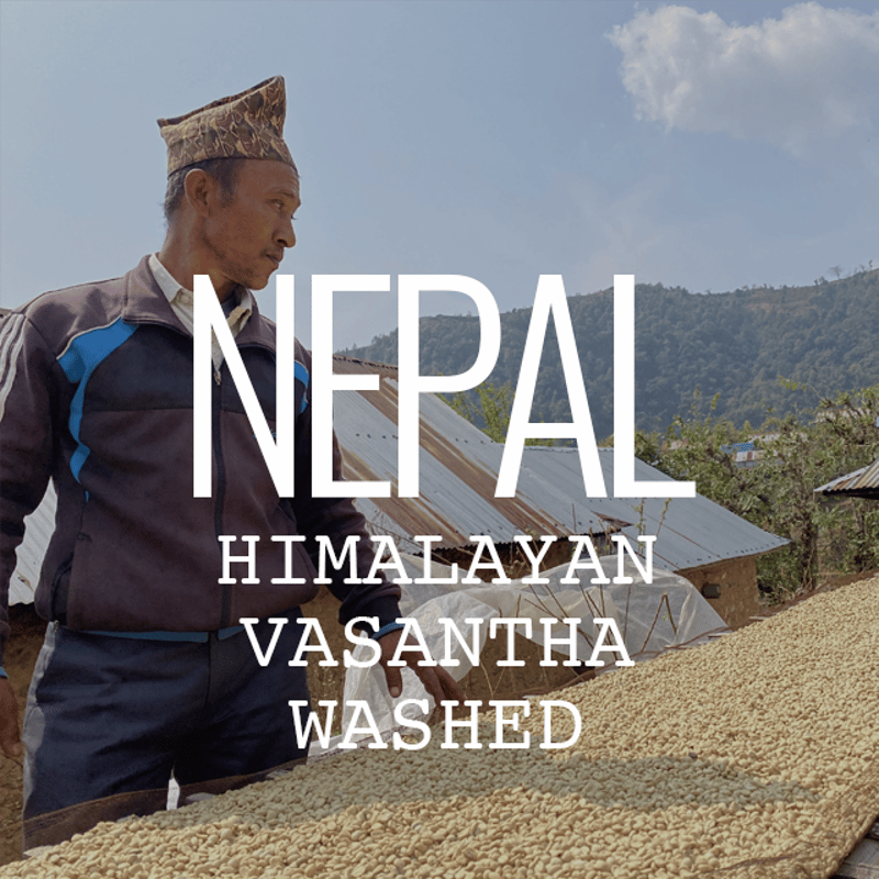 ネパール・ヒマラヤン ヴァサンタ・ウォッシュト 100g | Cruise Town