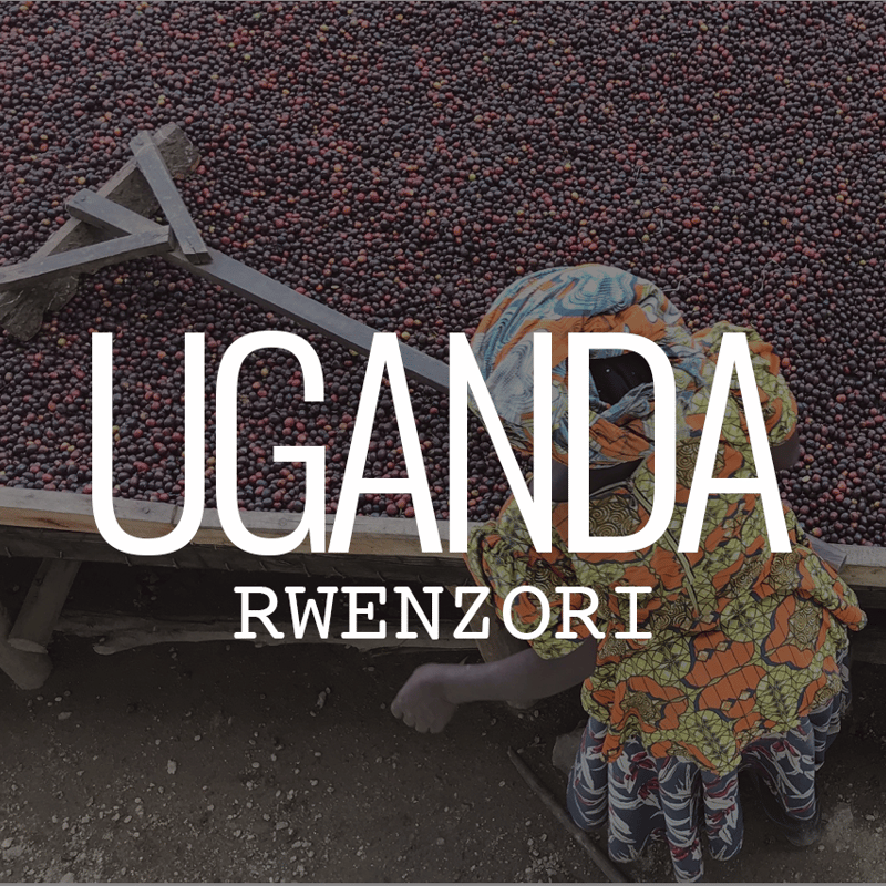 ウガンダ・ルウェンゾリ ・ナチュラル・アフリカンムーン 