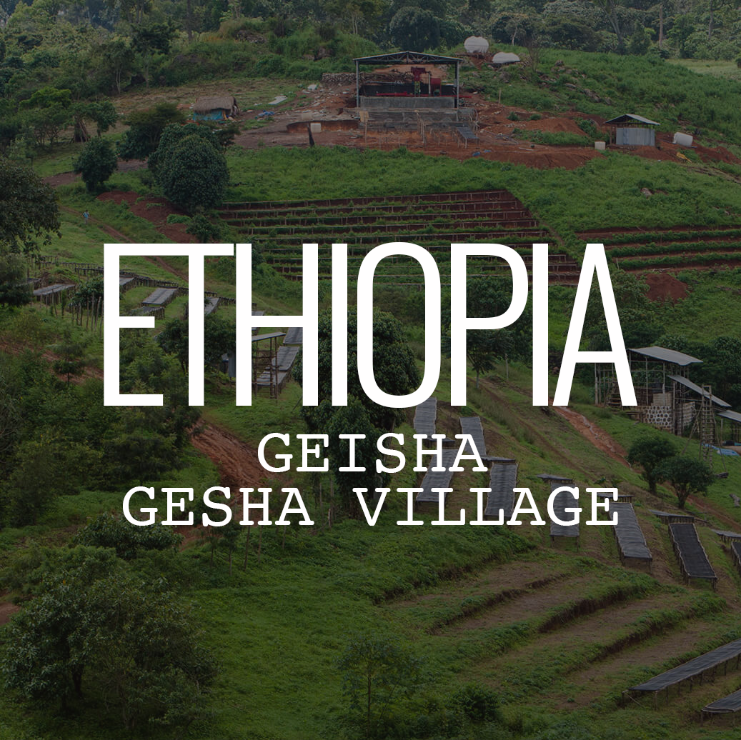 エチオピア・ゲイシャ・ゲシャヴィレッジ・チャカ ナチュラル 100g