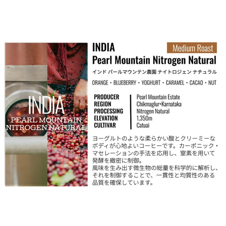 インド・パールマウンテン農園・ナイトロジェン ナチュラル 100g（豆もしくは粉）