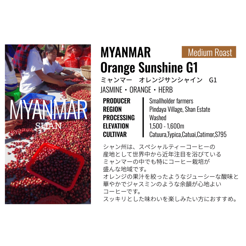 ミャンマー・オレンジ サンシャイン G1・シャン州ピンダヤ村 100g