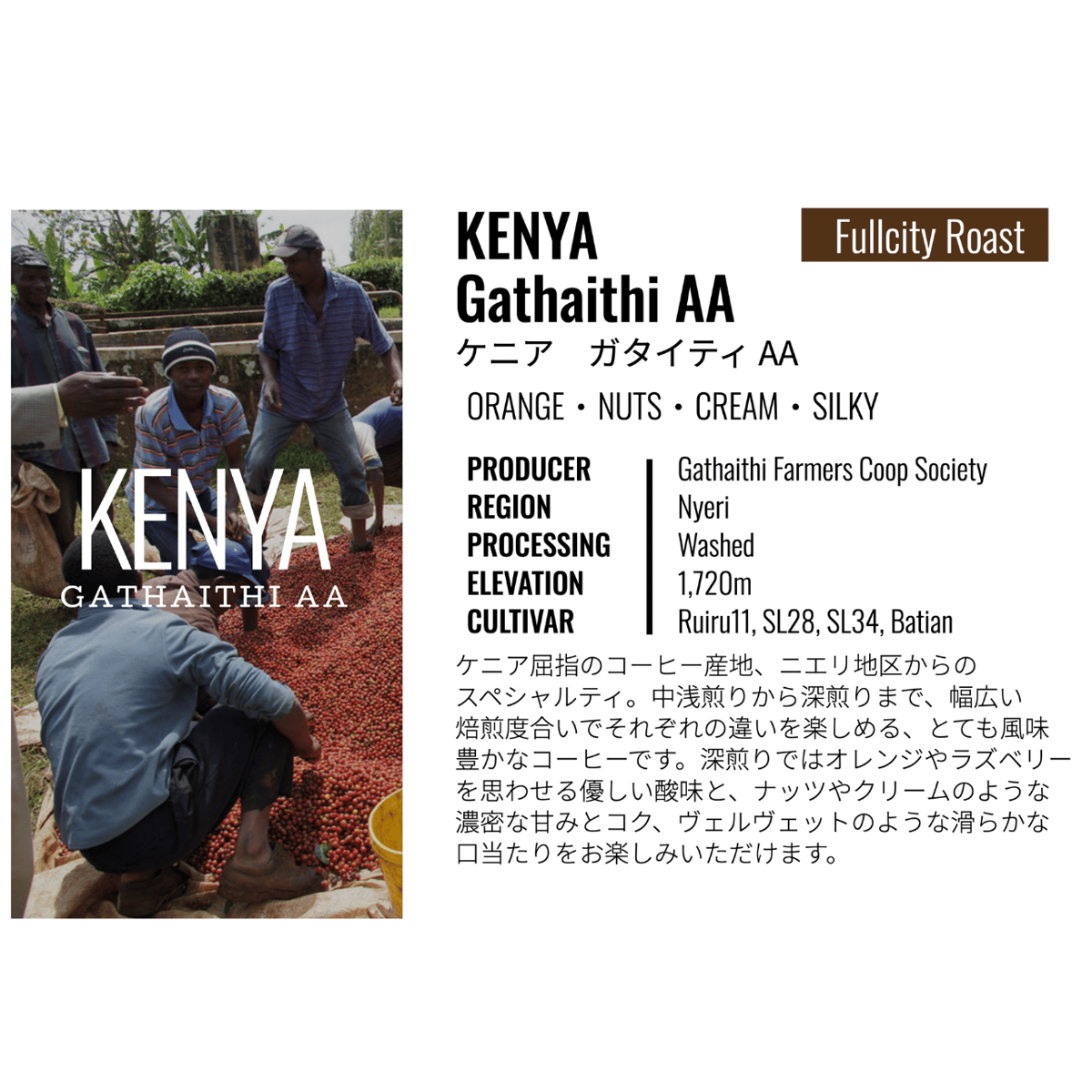 ケニア・ガタイティ AA (フルシティロースト) 100g | Cruise Town Cof