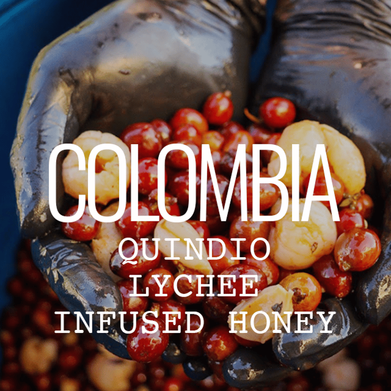 コロンビア・キンディオ・ライチ・インフューズドハニー 100g | Cruise