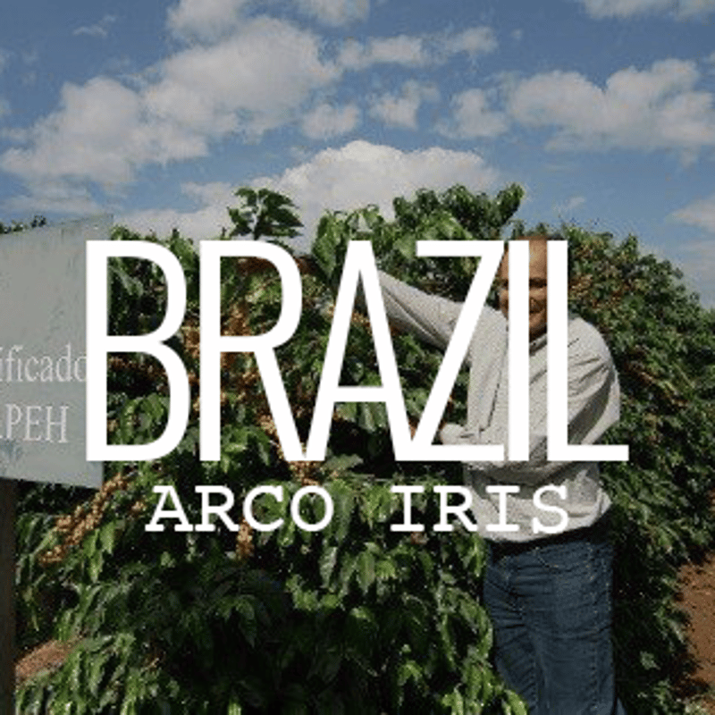 ブラジル・ブルボンアマレロ ・アルコイリス農園 100g | Cruise Town