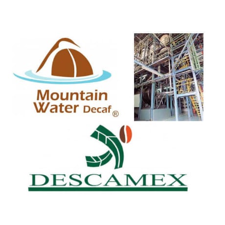 【デカフェ】THE DECAF ETHIOPIA SIDAMO G2 WASHED Mountain Water Process ドリップバッグ（5袋入り）