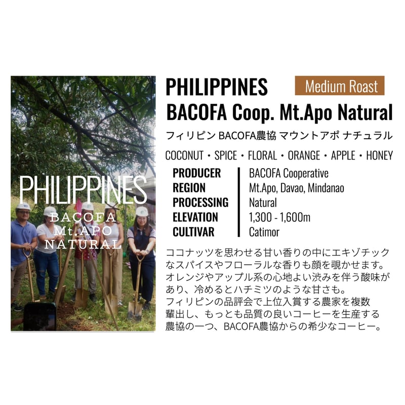 フィリピン・BACOFA農協・マウントアポ・ナチュラル 100g | Cruise