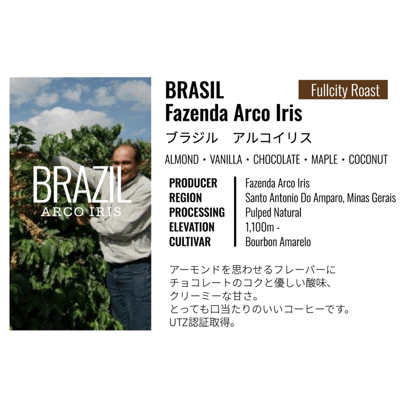 ブラジル・ブルボンアマレロ ・アルコイリス農園 100g | Cruise Town