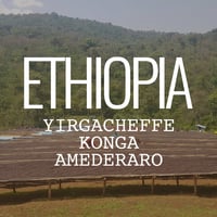 エチオピア・モカ イルガチェフェG1・コンガ・アメデラロ・ナチュラル　100g