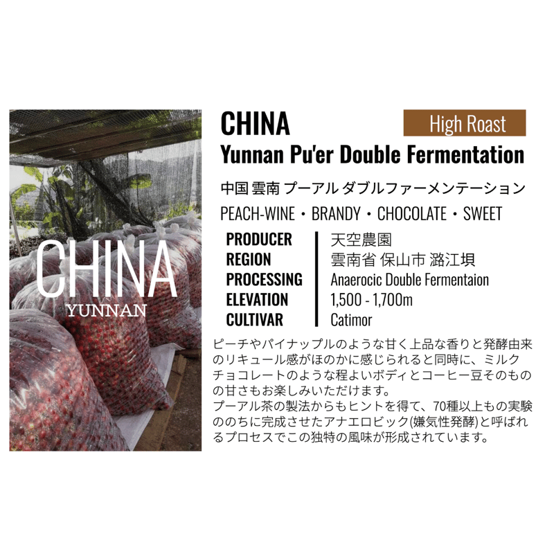 中国・雲南・天空農園 プーアル・ナチュラル ダブルファーメン