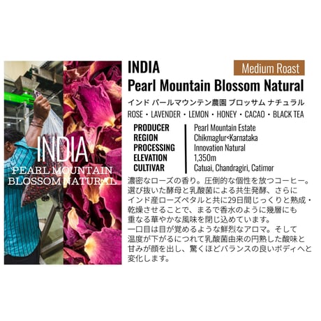 インド・パールマウンテン農園・ブロッサムナチュラル 100g（豆もしくは粉）