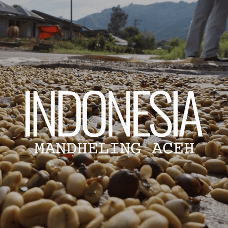 CATEGORY インドネシア | Cruise Town Coffee Roasters