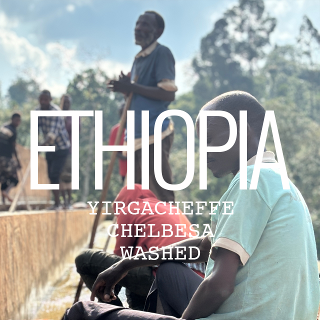 エチオピア・モカ イルガチェフェ G1・ゲデブ・チェルベサ