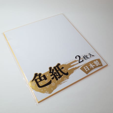 色紙 2P 　×12セット　4906327904662