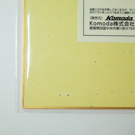 色紙 2P 　×12セット　4906327904662