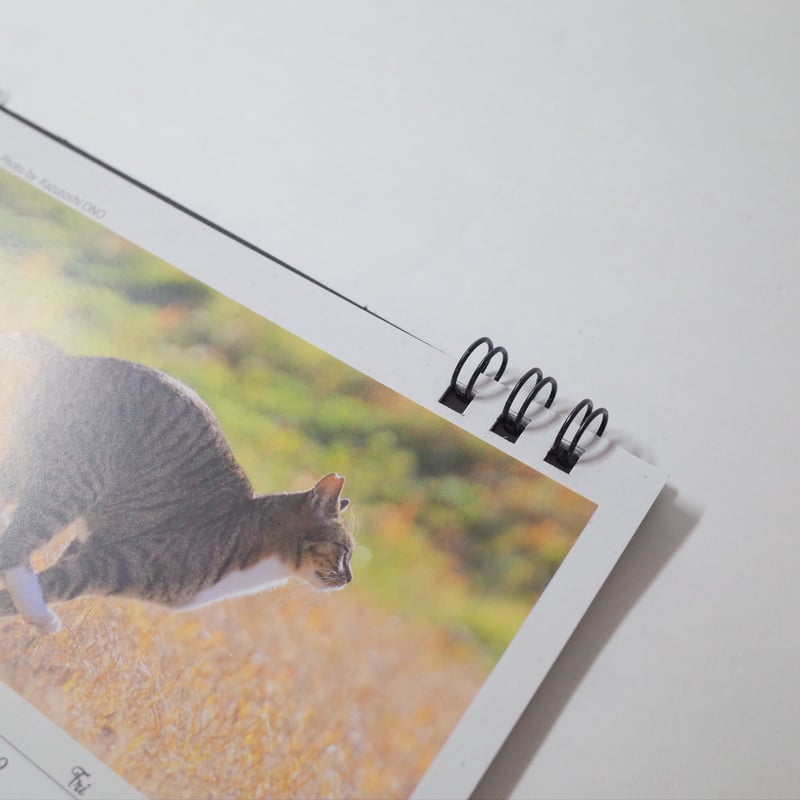 2026年 猫カレンダー(卓上) 4906327906413 ×1部 | Komoda's S