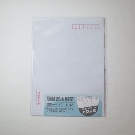 履歴書用大型封筒 5枚入 　×10セット　4906327041152