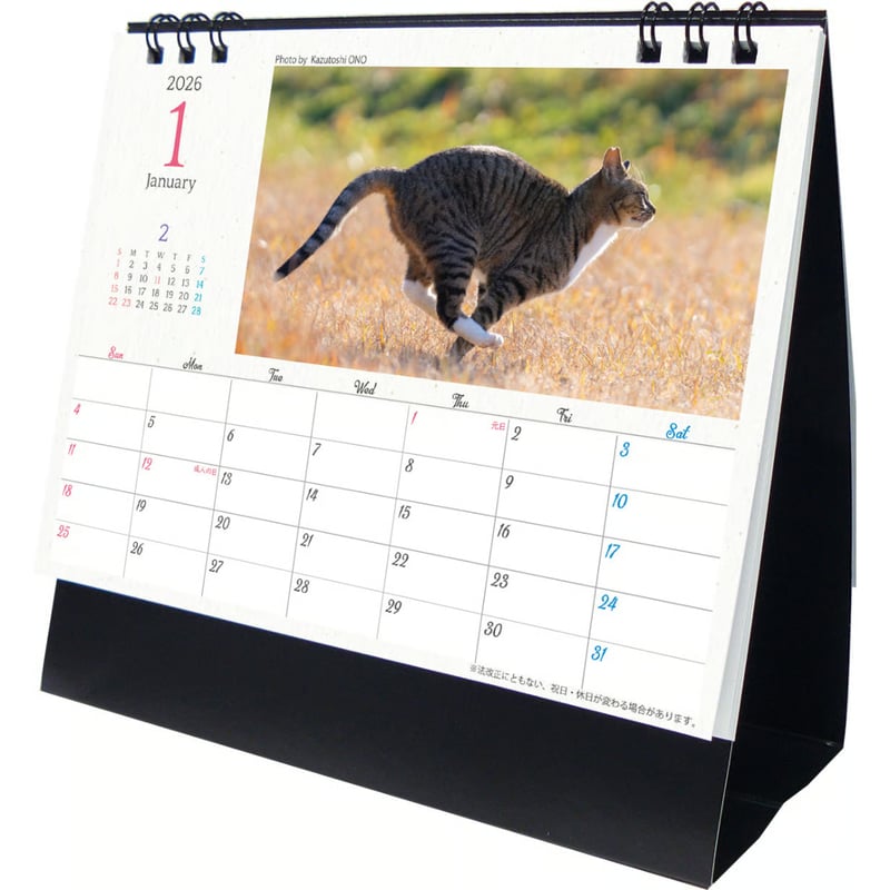 2026年 猫カレンダー(卓上) 4906327906413 ×1部 | Komoda's S