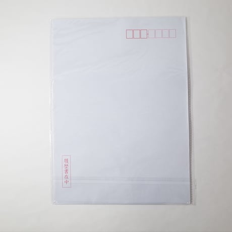 大型封筒付き履歴書 A4  ×10セット　 4906327039883