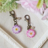 [限定]2色＊ちいさなコスモス　～アカツキ～　目印チャーム　マスクチャーム