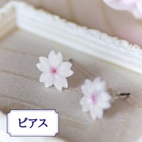 [限定]ちいさなサクラ　ピアス