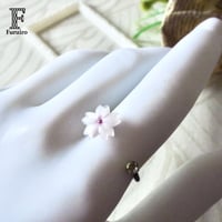 [限定]ちいさなサクラ　フォークリング