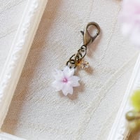 [限定]ちいさなサクラ　目印チャーム　マスクチャーム