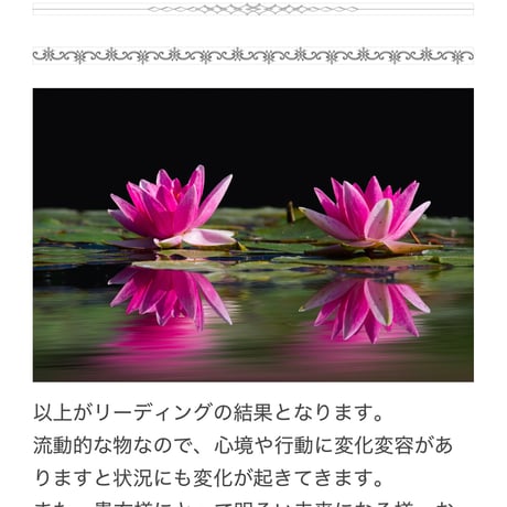 pdfファイル(文章)でお渡しカウンセリングリーディング(5行まで)