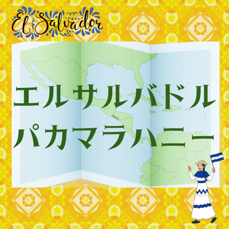 Mサイズ】エルサルバドル・パカマラハニー（生豆250g） | ミハト珈琲