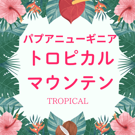 【Lサイズ】パプアニューギニア・トロピカルマウンテン（生豆500ｇ）