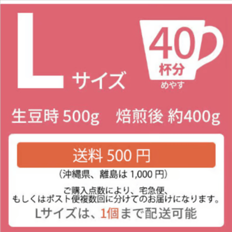 【Lサイズ】コスタリカ・ハニージャガー（生豆500g）