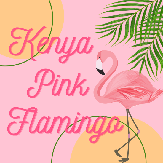 Lサイズ】ケニア・ピンクフラミンゴ（生豆500g） | ミハト珈琲